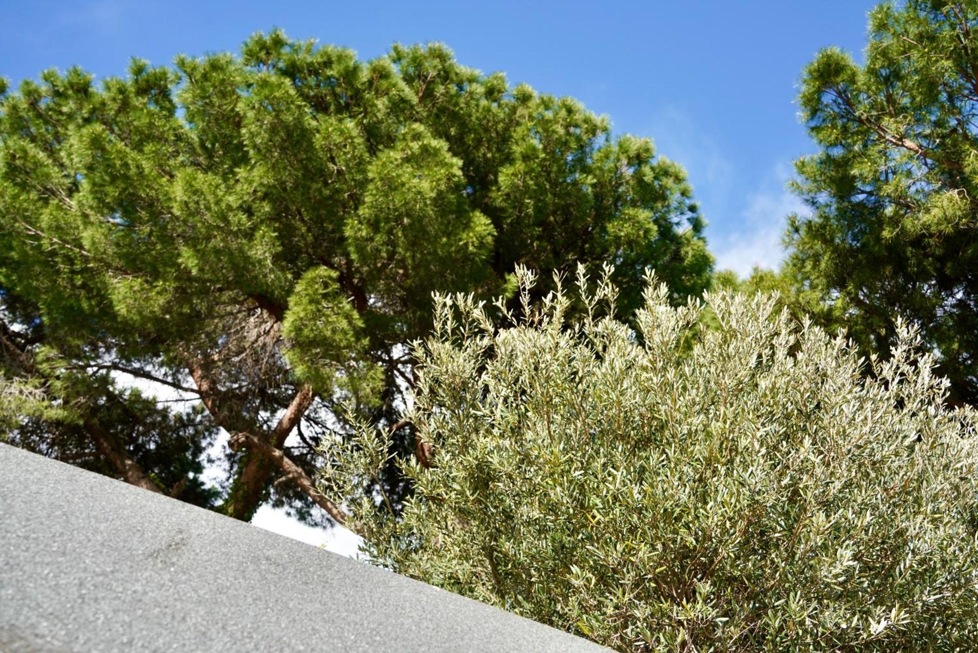 Hotel Starsbox Jacuzzi Privata E Piscina Vista Mare Celle Ligure Exterior foto